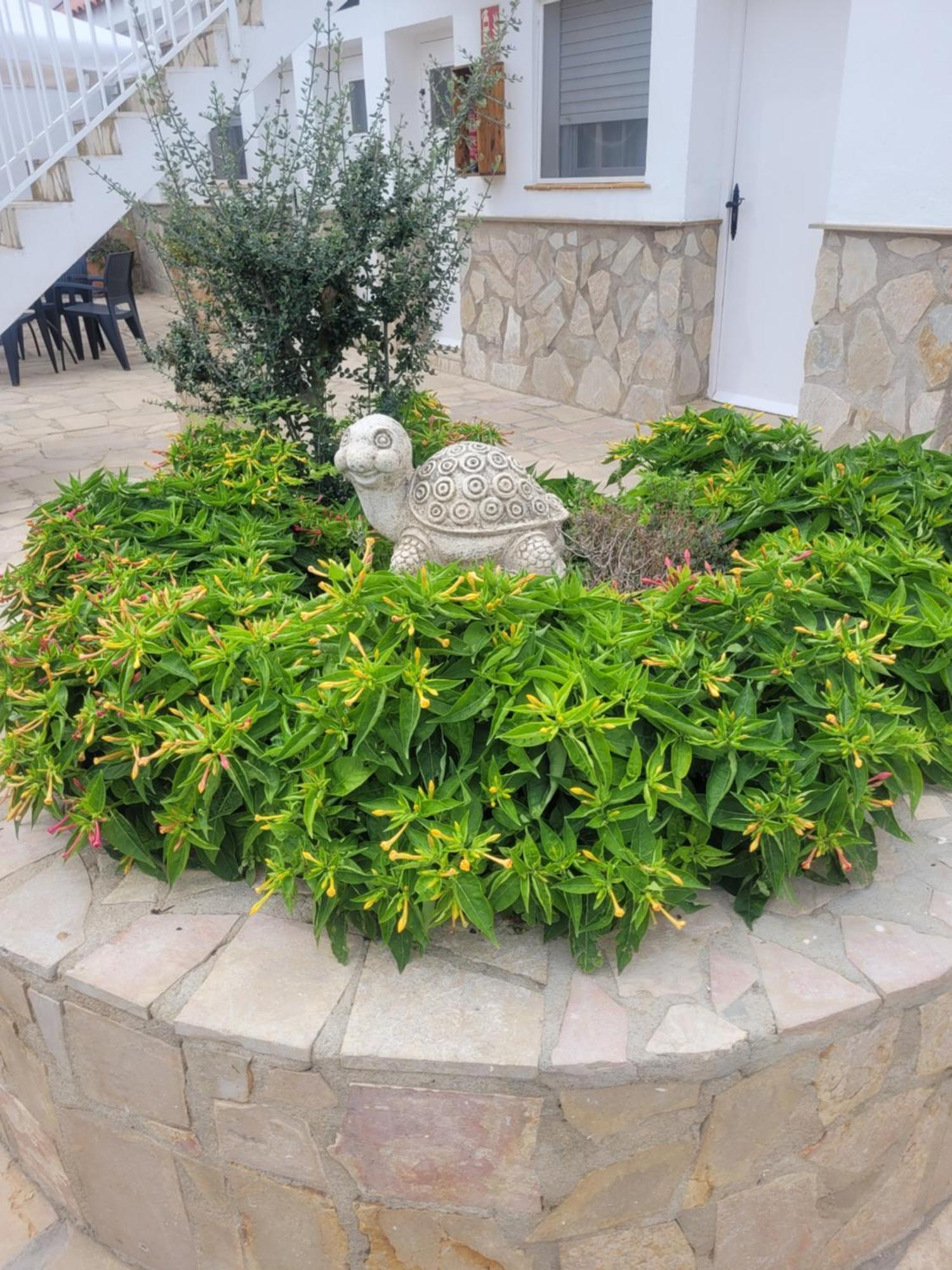 La Llar De Laura Guest House El Poble Nou del Delta Ngoại thất bức ảnh