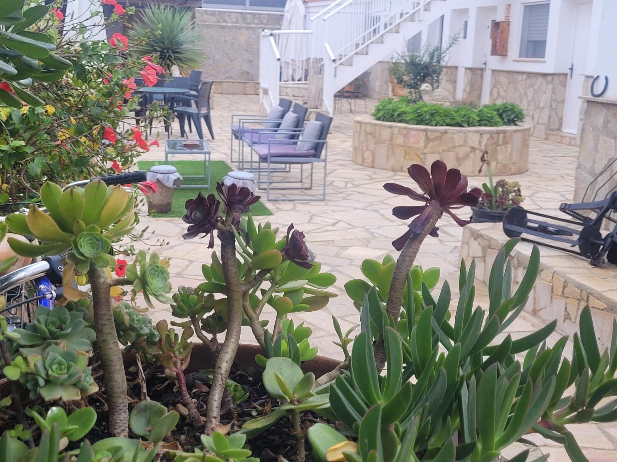 La Llar De Laura Guest House El Poble Nou del Delta Ngoại thất bức ảnh